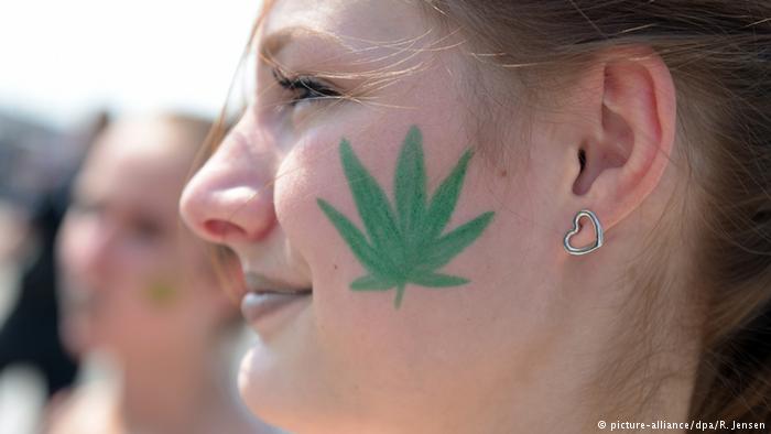 KANABISI, një treg i ri me potenciale të mëdha. Efektet e LEGALIZIMIT, nga SHBA në Gjermani (FOTO)