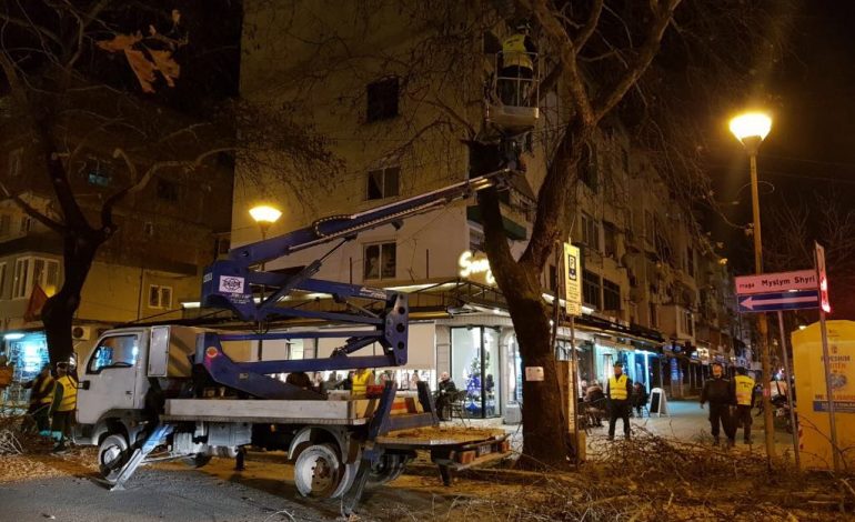FOTO/ Ishin shndërruar në rrezik për qytetarët, ja çfarë u ndodh pemëve në kryeqytet
