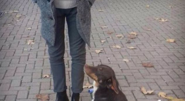 Moderatori i njohur shqiptar tregon çfarë e ndihmoi të dilte nga depresioni