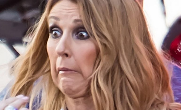 Fansja e dehur ngjitet në skenë duke krijuar panik, Celine Dion menaxhon denjësisht situatën (VIDEO)