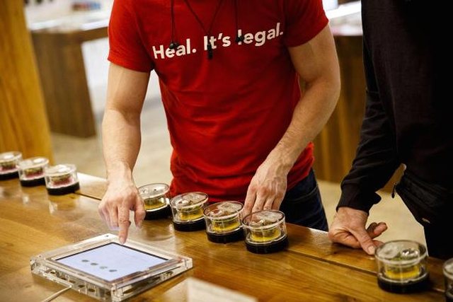Mirë që u legalizua marijuana në Kaliforni, po kush i “duron” radhët tek dyqanet tani (FOTO)