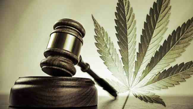 Kalifornia legalizon marihuanën, qindra njerëz mbajnë radhë…