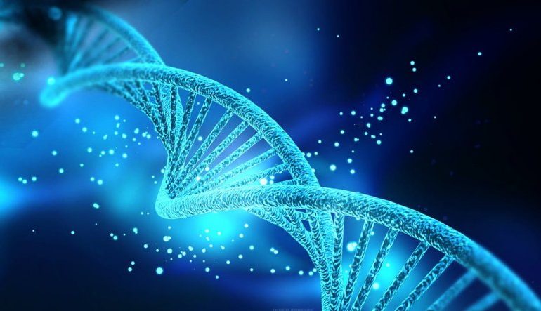 Gjenetikë/ Zbulohet çelësi që hap ADN-në