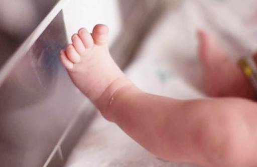 RËNIA E LINDSHMËRISË/ Mjeku udhëzon prindërit: Bëni fëmijë se shteti do të ULË këto taksa