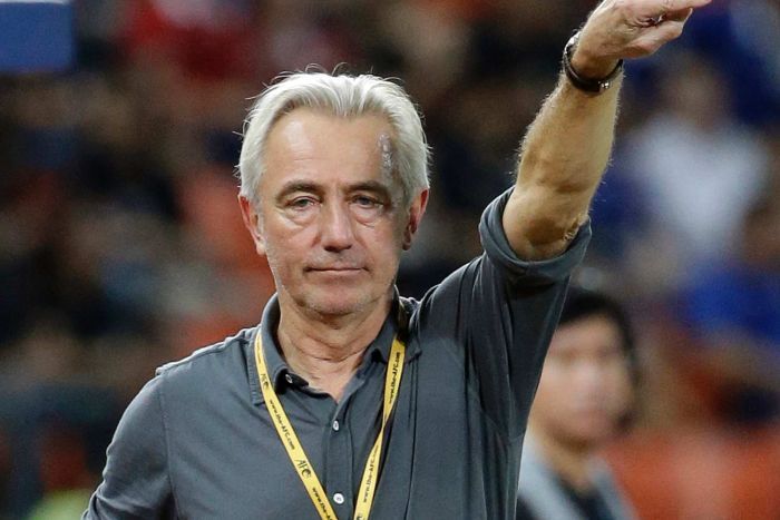 Zyrtare: Bert van Marwijk merr drejtimin e Australisë
