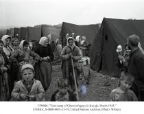 Raporti i qershorit 1945: Ja masakrat mbi çamët e pafajshëm