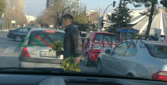 Si gjithmonë para kohe/ Sa shpejt paskan çelur këtë rradhë lulet “budallaqe”