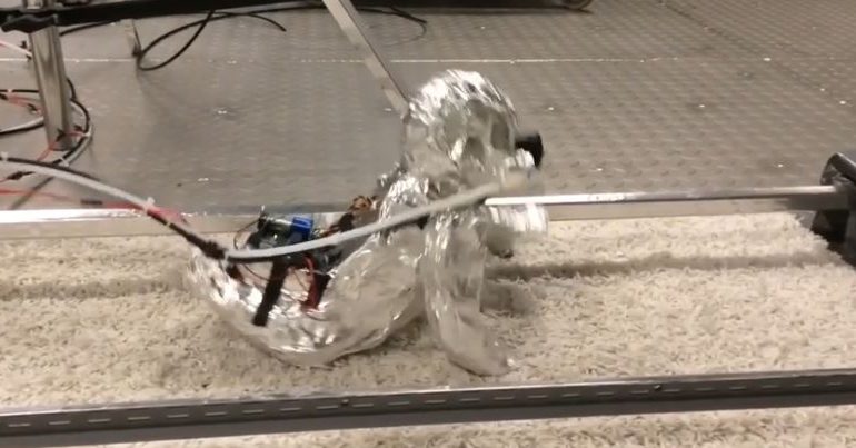 Foshnja robot që mund të zvarritet si një fëmijë i vërtetë