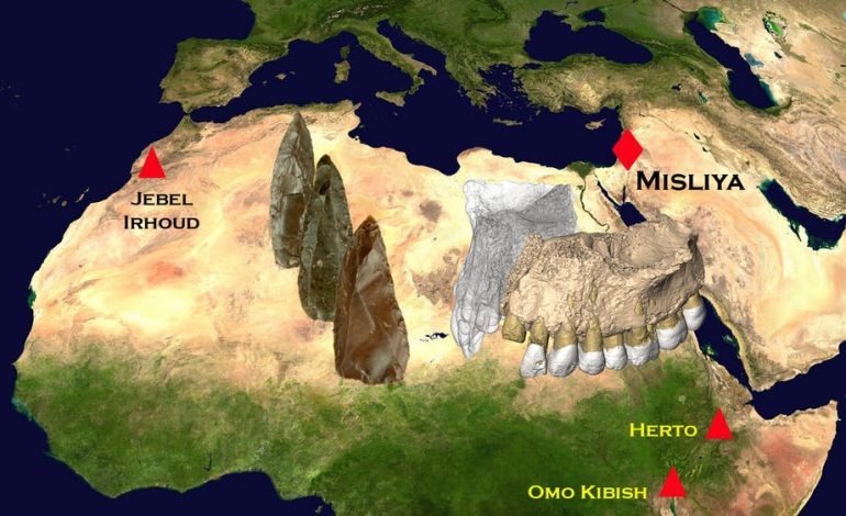 Zbulohet në Izrael fosili më i vjetër i njeriut. Dyshime për teorinë e evolucionit human