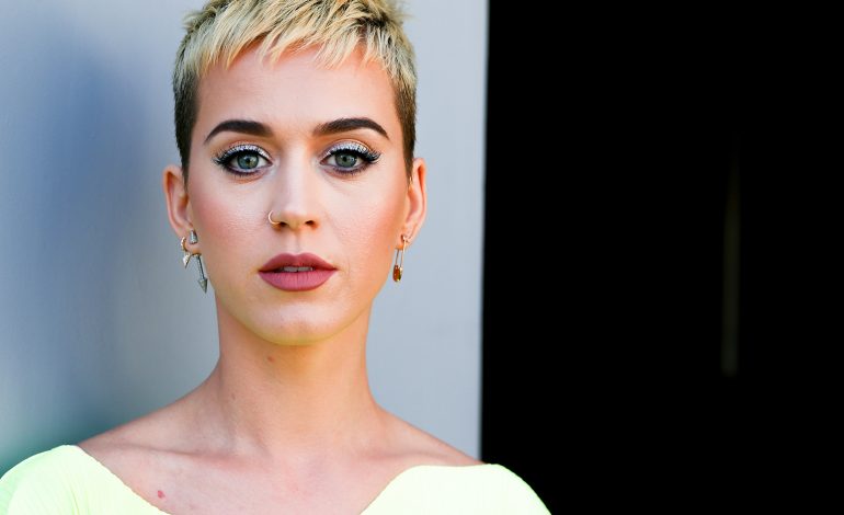 Katy Perry, “viktimë” e mediave sociale: Ja si shprehet ajo…