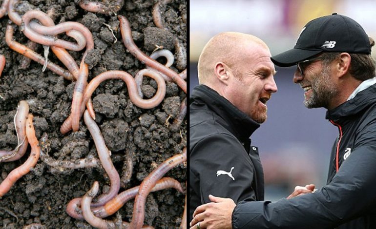 Ish-shoku i ekipit: Trajneri i Premier League e ka zërin e ngjirur pasi ka ngrënë shumë krimba
