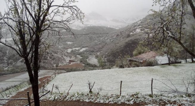 “ÇMENDURIA E MOTIT”/ Në Korçë dëbora arrin në 10 cm. Vështirësi kalimi në disa rrugë
