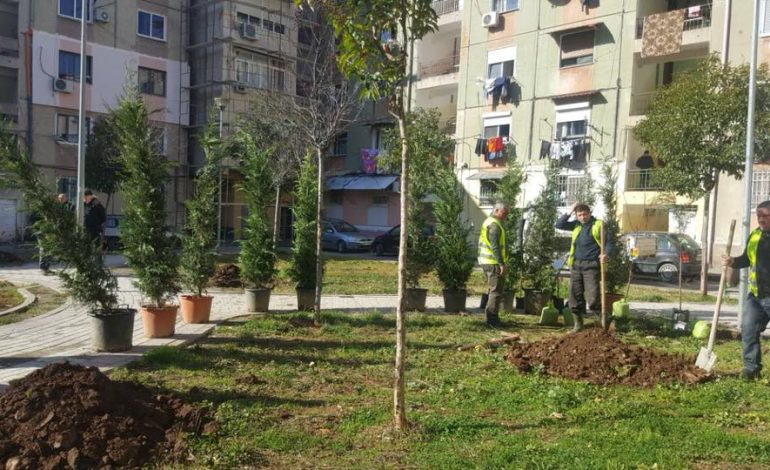 “PYLLEZIMI” i Tiranës/ Qytetarët bëhen bashkë dhe mbjellin dhjetra pemë të reja (FOTO)