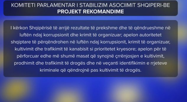 LUFTË KRIMIT TË ORGANIZUAR/ Rekomandimet e deputetëve evropianë për SHQIPËRINË