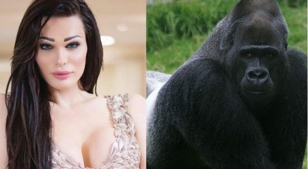 Linda Rei e frikshme pa make-up, e krahason veten me një gorillë