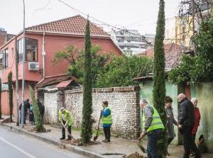 Rikthehet në identitet lagjja e Selvive në Tiranë, mbillen 150 drurë dekorativë