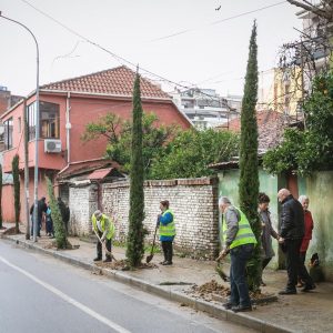 Rikthehet në identitet lagjja e Selvive në Tiranë, mbillen 150 drurë dekorativë
