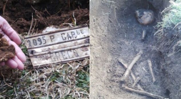 GËRMIMI I ESHTRAVE TË USHTARËVE GREKË/ Banorët e Dragotit: Janë skelete të italianëve