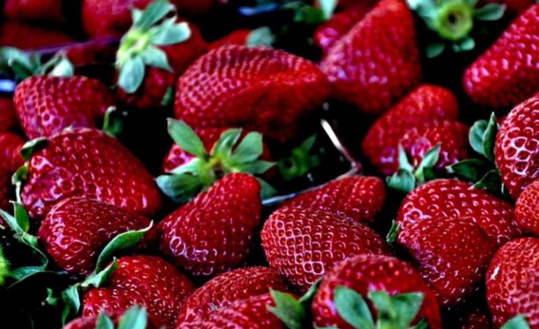 S’ka vetëm dieta të mërzitshme, ka edhe të shijshme….si kjo me luleshtrydhe
