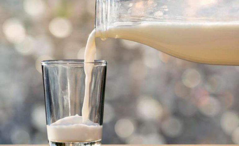3 ndryshime të mëdha që i ndodhin trupit tuaj kur hiqni qumështin nga dieta