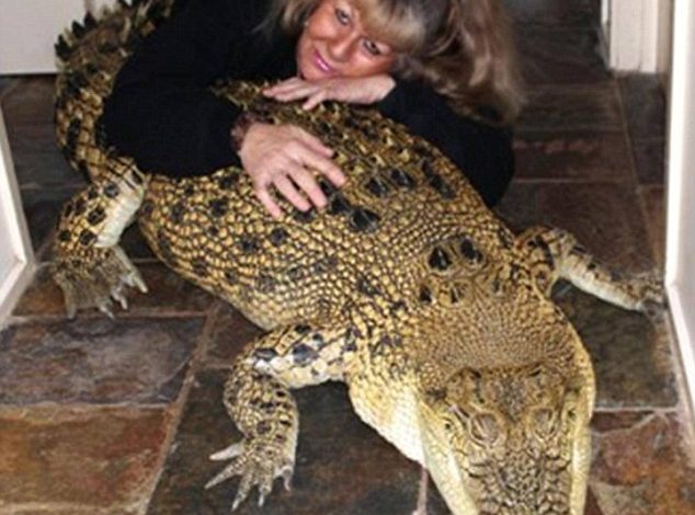 Gruaja ‘e çmendur’ që bashkëjeton me 5 krokodilë në shtëpinë e saj… (FOTO)