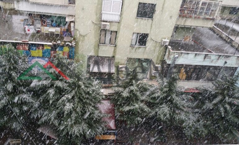 Tirana ZBARDHET nga reshjet e DËBORËS/ Shihni pamjet fantastike në kryeqytet (FOTO+VIDEO)