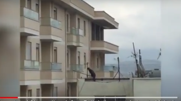Policia aksion si nëpër filma/ Arrestohet skifteri që bënte kërdinë në Durrës (VIDEO)