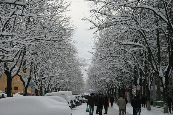 DEBORA IZOLON DIBREN/ Ndërpritet mësimi, ja si është kalueshmëria në këtë aks rrugor