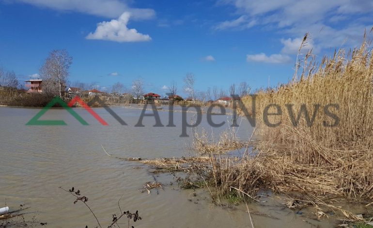 PËRMBYTJET/ Del nga shtrati edhe lumi Erzen. Ja pasojat (FOTO+VIDEO)