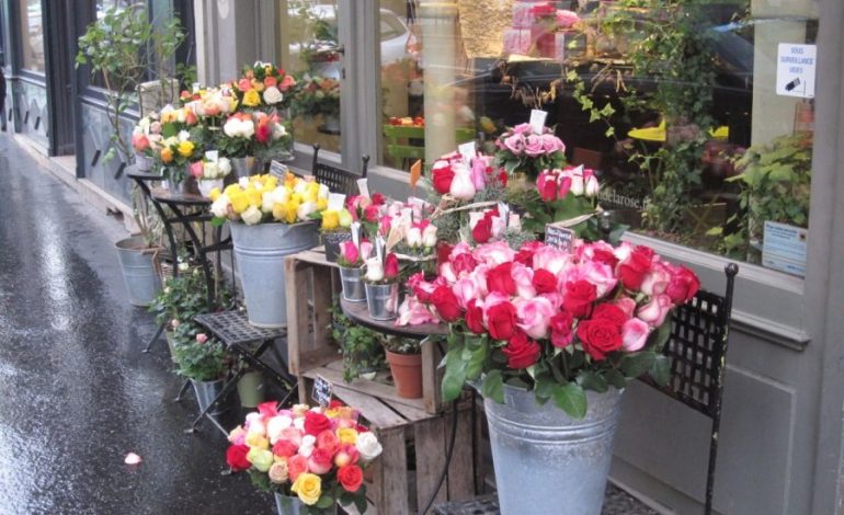 Trëndafilat e SHEN VALENTINIT/ Tufat e jashtëzakonshme të shqiptarëve që kushtojnë sa qimet e kokës