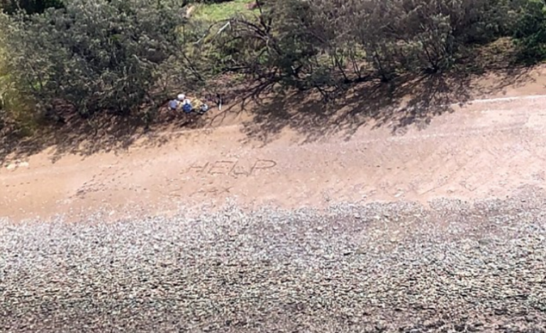Stuhia i shkatërron varkën, fjala në rërë shpëton çiftin e mbetur në ishull (FOTO)