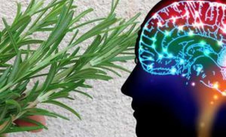 Përdorimi i erëzave mbron trurin nga depresioni dhe humbja e kujtesës