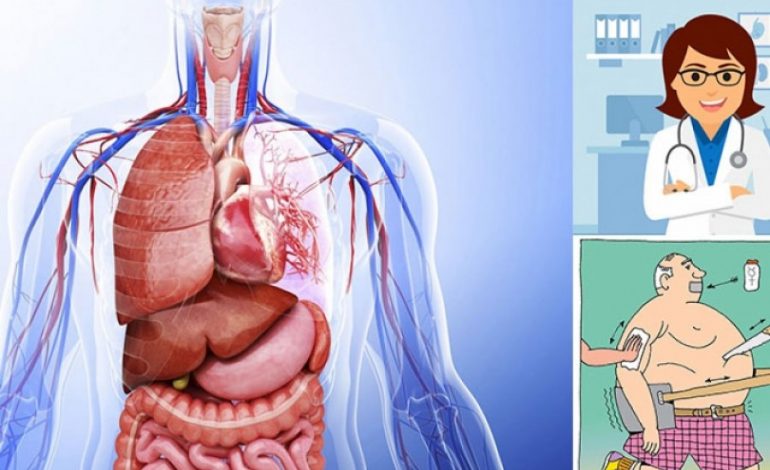 7 organet ”e panevojshëm” të njeriut pa të cilët mund të vazhdoni të bëni jetë normale