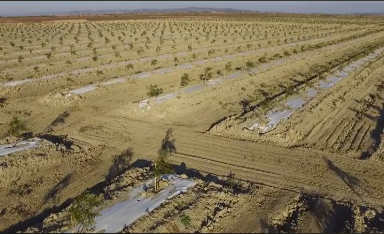 (VIDEO) ZHVILLIMI AGROKULTUROR/ Rama prezanton projektin ambicioz të qeverisë