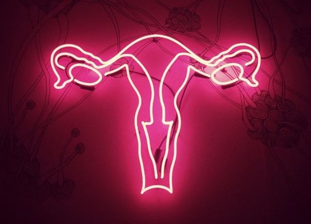Çfarë po bëni? Duajeni më shumë vaginën tuaj!