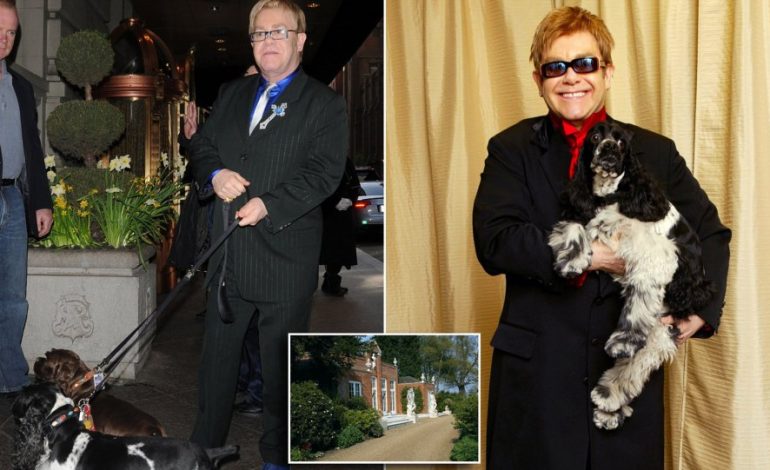 E mitura kafshohet në fytyrë nga qeni i Elton John! Këngëtari injoron situatën (FOTO)