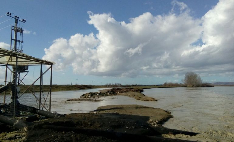 PËRKEQËSIMI I MOTIT/ OSHEE nxjerr në terren 2200 punonjës. Ja SITUATA në gjithë vendin (FOTO)