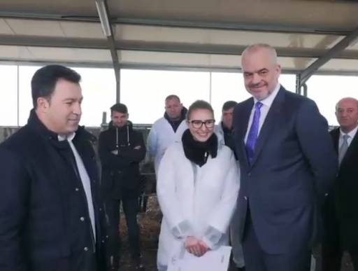 SKEMË NDIHME PËR FERMERËT/ Rama: Do t’ju paguajmë për çdo bagëti. Ja si do të funksionojë