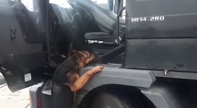VIDEO/ Dalin pamjet e pazakonta! Si e kapi policia sasinë rekord të HEROINES në Portin e Durrësit