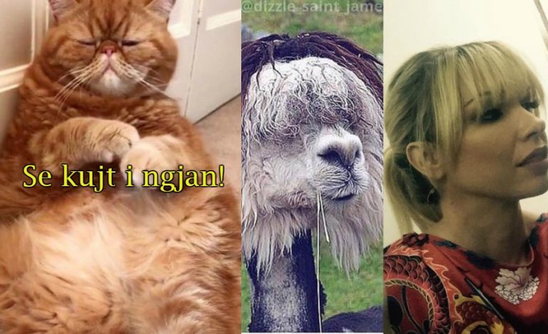 Të famshmit shqiptarë që “tallen” me peshën dhe fizikun e tyre (FOTO)
