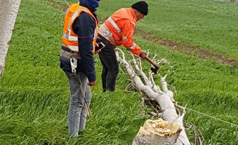 FOTOT: OSHEE në “betejë” me motin e egër. Stuhia shkatërron gjithçka
