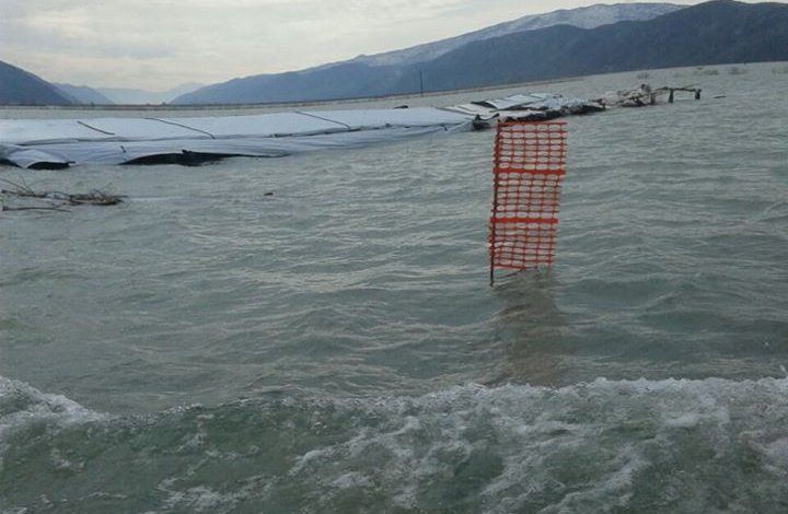 Bashkia e Shkodrës jep informacion për përmbytjet: 4155 Ha sipërfaqe në ujë