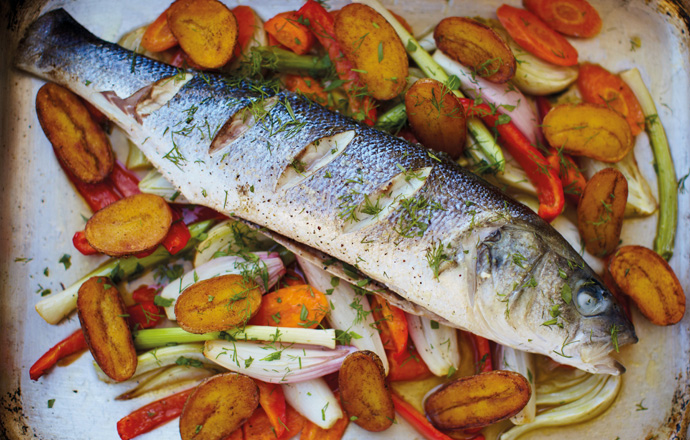 Produktet e peshkut ulin rrezikun e prekjes nga skleroza e shumëfishtë