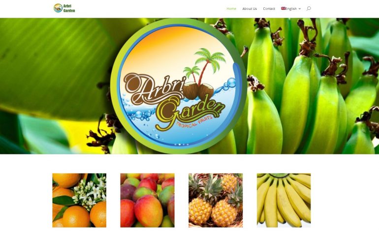 Banane dhe kokainë, ish-ministri sqaron të vërtetën për grantet e përfituara nga “Arbri Garden”