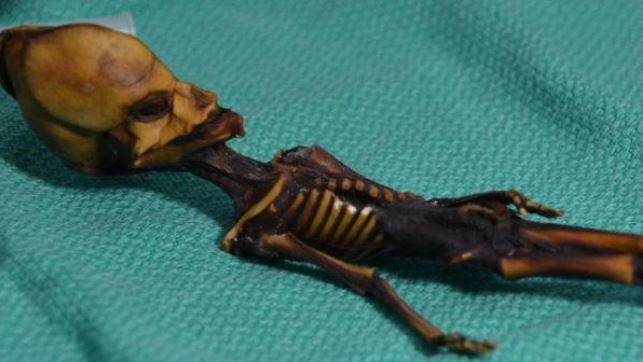 Zbulohet misteri i skeletit të “alienit” të gjetur në Kili
