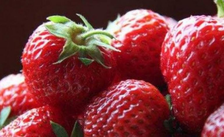Luleshtrydhet fruti i mrekullisë, përmirësojnë shikimin dhe …