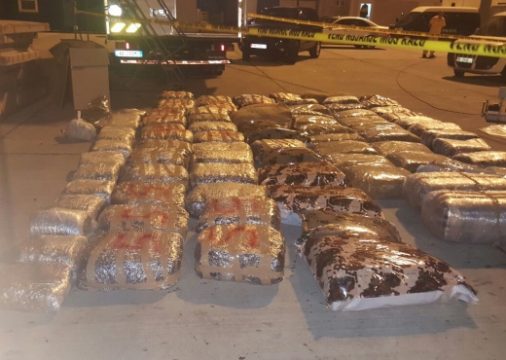 KAVAJË/ SEKUSETROHEN 562 kg kanabis sativa. Ja si po bëhej transportimi i lëndës narkotike