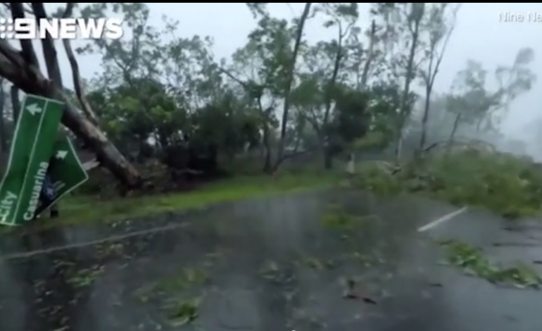 VIDEO: “Çmendet” moti, era e fortë me shpejtësi mbi 130 km/h shkul pemët