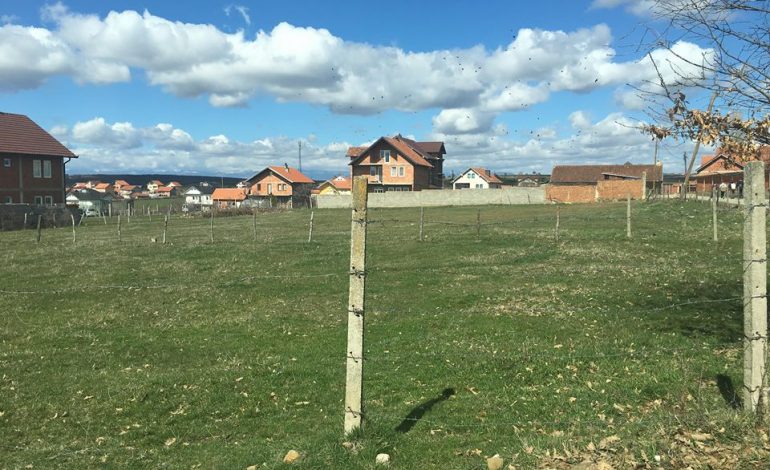 I DYSHUAR PËR VRASJEN E VËLLEZËRËVE/ Flet gruaja: Burrin e kam pas në shpi, pimë…