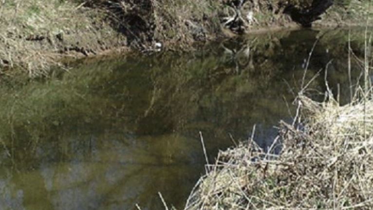 Tre ditë i larguar nga banesa, gruaja gjen burrin e moshuar të mbytur në kanal